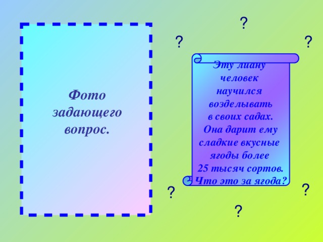 ? ? ? Эту лиану человек научился возделывать в своих садах. Она дарит ему сладкие вкусные ягоды более 25 тысяч сортов. Что это за ягода? Фото задающего вопрос. ? ? ?